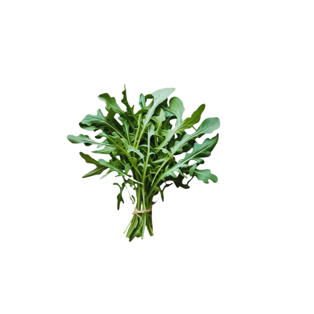 [9058] Rucola gebündelt - Preis pro 250g