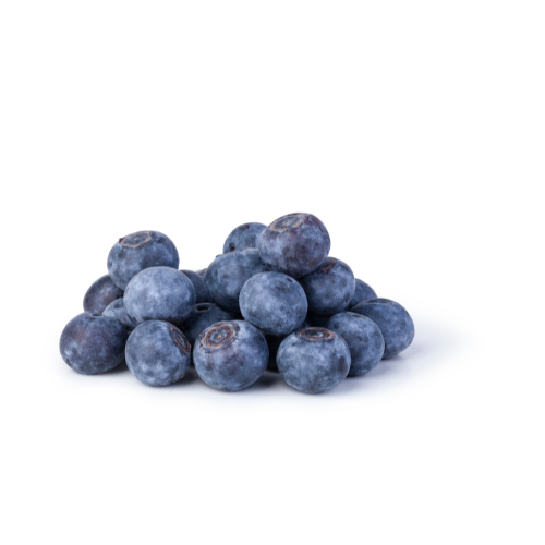 [9106] Blaubeere Heidelbeere 125g Schale
