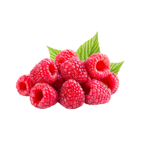 Himbeere 125g Schale