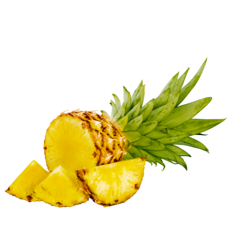 [9103] Ananas Stück