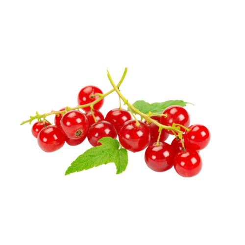 Johannisbeeren Rot 125g