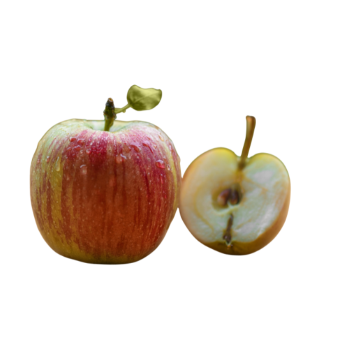 [9104] Apfel 10kg