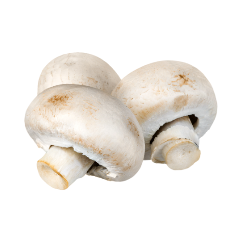[9009] Champignons - Preis pro 3kg