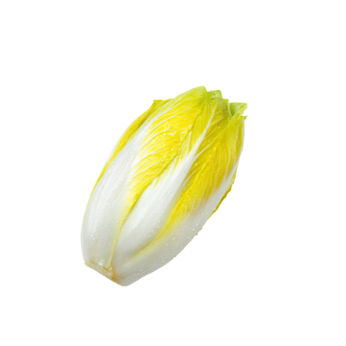 [9013] Salat Chicoree 500g