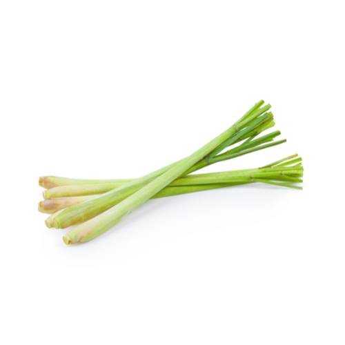 [9036] Frisch Zitronengras 250g