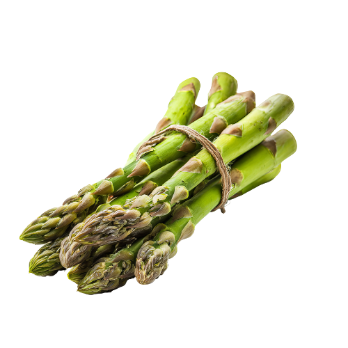 [9041] Spargel grün Bund