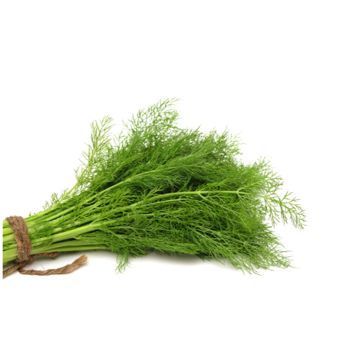 [9053] Dill Bund