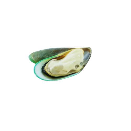 [2451] Grünschalenmuscheln halb M 1kg