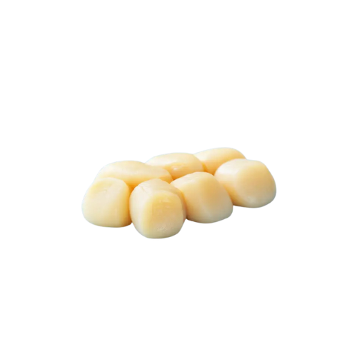 [2455] Hotate Jakobsmuscheln 10/20 1kg Beutel Japan