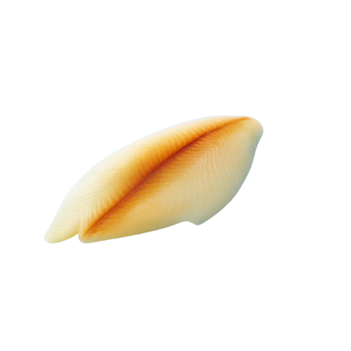 [3109] Schwarzer Heilbutt Filet 200-400g 5kg