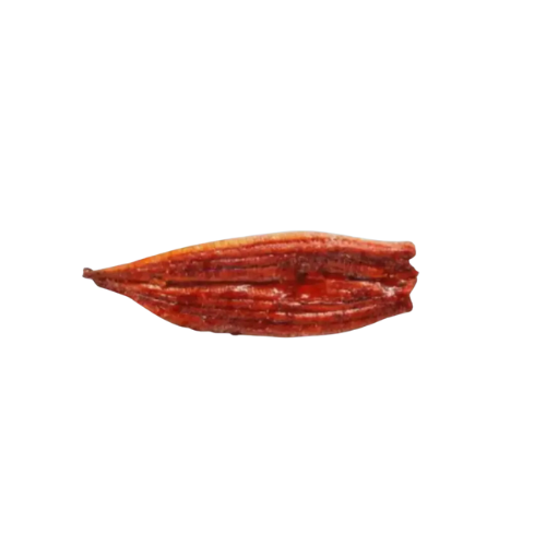 [3113] Unagi Aal Filet 9oz (ca 255g) je Kg