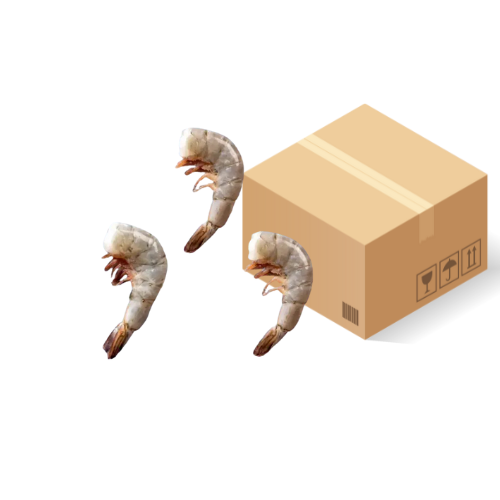 [2906] White Tiger Garnelen HLSO 21/25 10x1kg Karton
