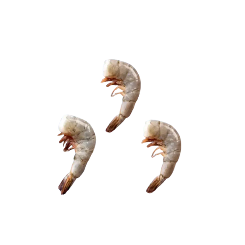[2907] White Tiger Garnelen HLSO 21/25 1kg