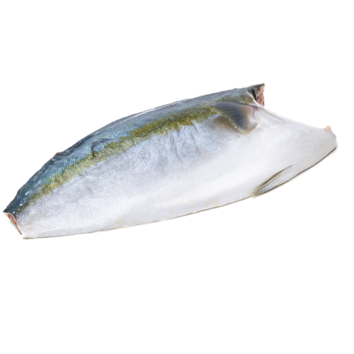 [3132] HAMACHI FILET Japan 31,65€/Kg